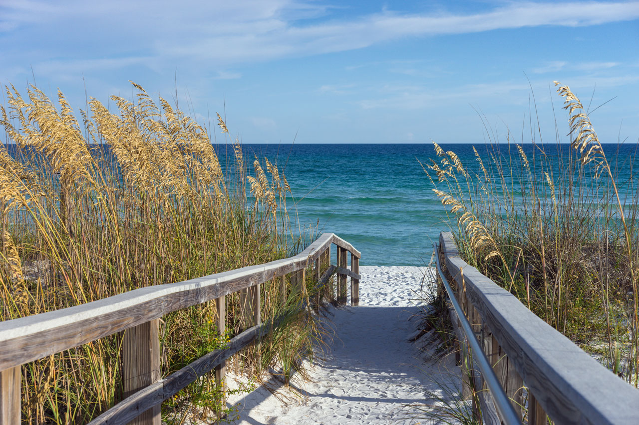Our SEO company is proud to call Boca Raton home - SEO company in Boca Raton
